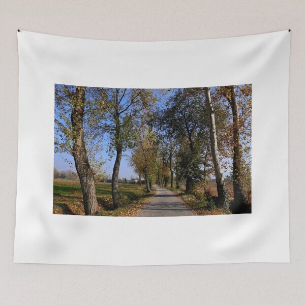 Item preview, Autumn path designed and sold by annalisa56.