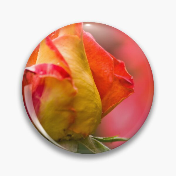 Item preview, Red-Yellow Rose designed and sold by Onur Guner Guray.