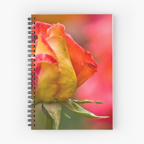 Item preview, Red-Yellow Rose designed and sold by Onur Guner Guray.