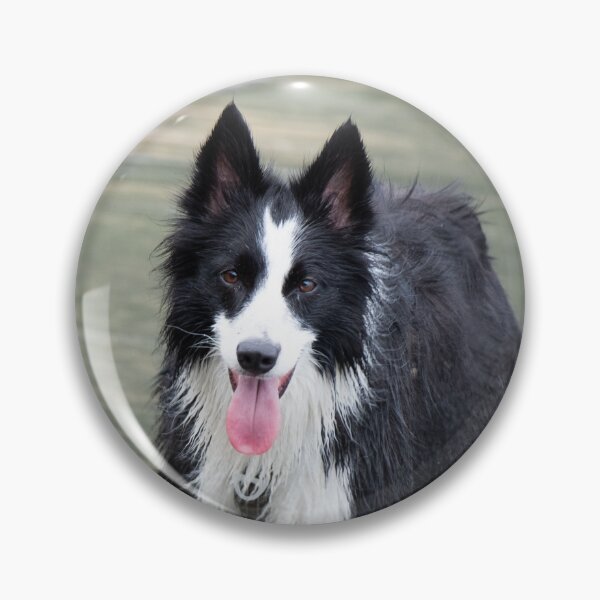 Item preview, Border Collie designed and sold by Ajo Fernández.