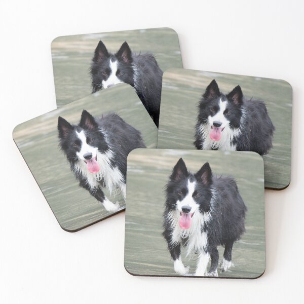 Item preview, Border Collie designed and sold by Ajo Fernández.