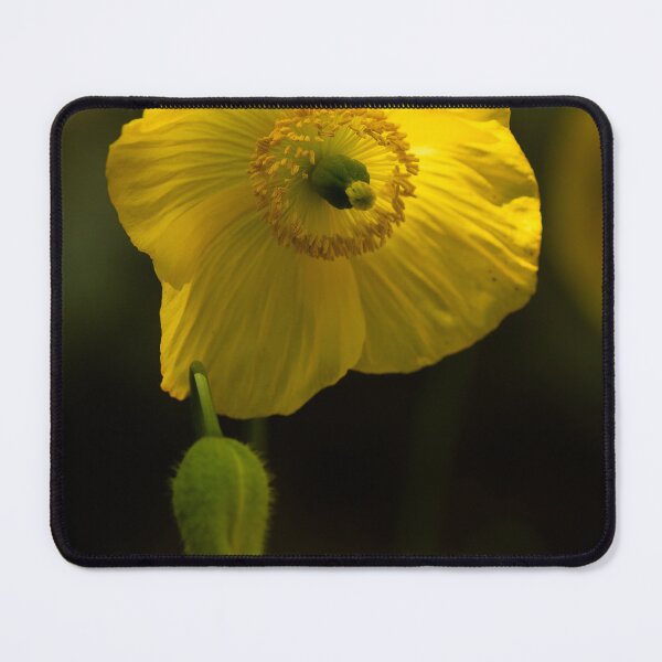 Item preview, Papaver designed and sold by Ajo Fernández.