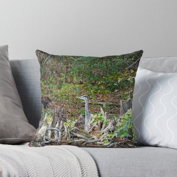 Item preview, Great Blue Heron Posing as Cypress Tree Root designed and sold by ShorelineImages.