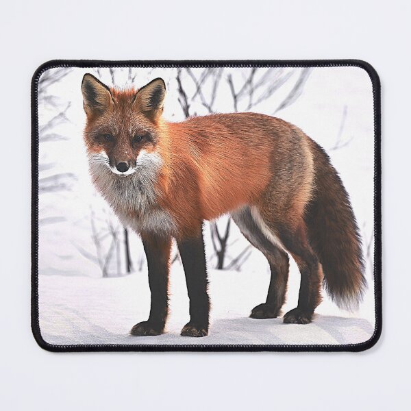 Item preview, Forest Red Fox designed and sold by TheAnimalZ00.