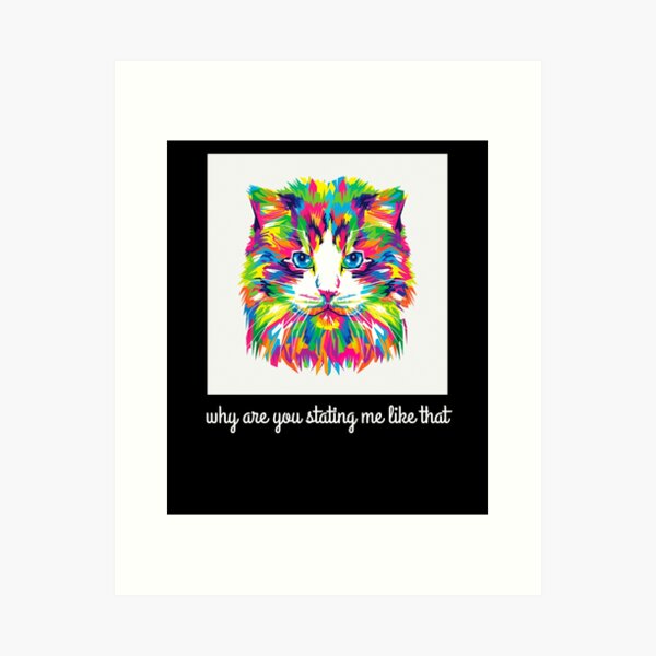 Cat Shitpost meme Art Board Print for Sale by Season's Store