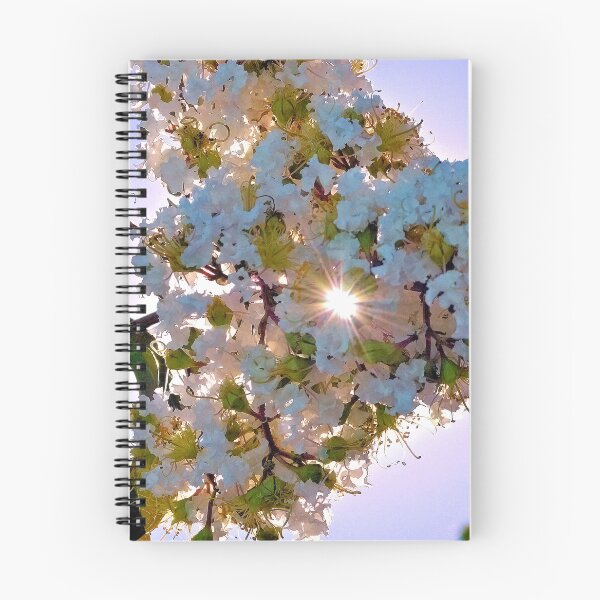 Item preview, Sunburst designed and sold by What I See by Dawne.