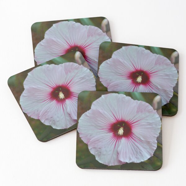 Item preview, Light Pink Hibiscus designed and sold by KJMozdzen.
