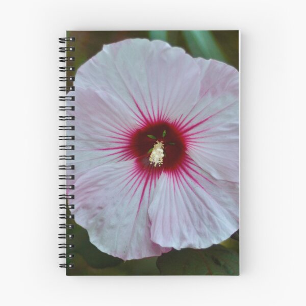 Item preview, Light Pink Hibiscus designed and sold by KJMozdzen.