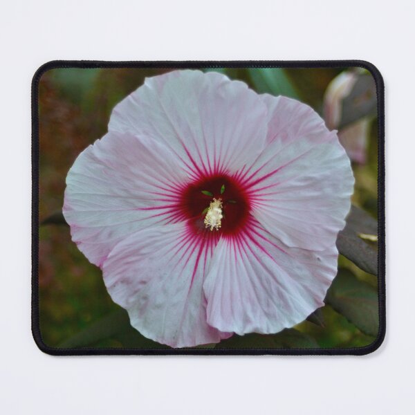 Item preview, Light Pink Hibiscus designed and sold by KJMozdzen.