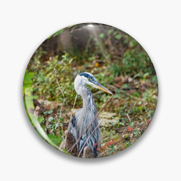 Item preview, Great Blue Heron Shows It's Patience designed and sold by ShorelineImages.