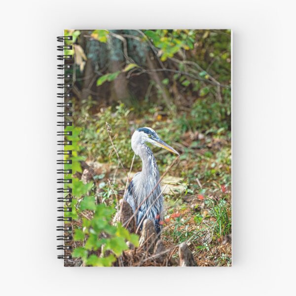 Item preview, Great Blue Heron Shows It's Patience designed and sold by ShorelineImages.