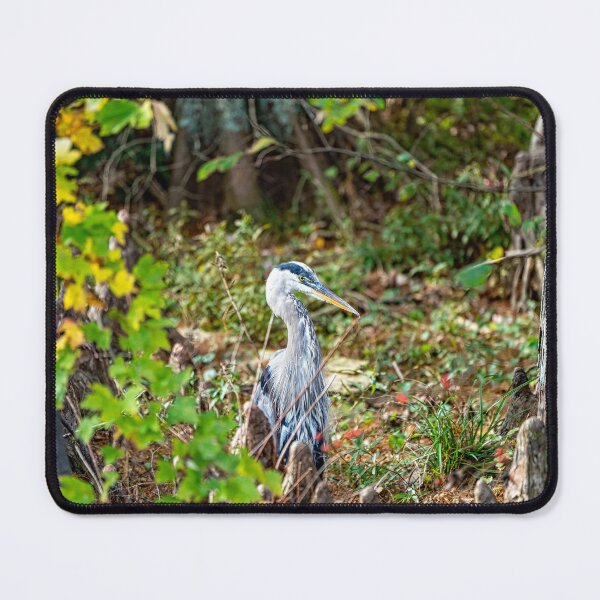Item preview, Great Blue Heron Shows It's Patience designed and sold by ShorelineImages.