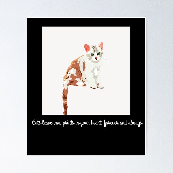 Cat Shitpost meme Art Board Print for Sale by Season's Store