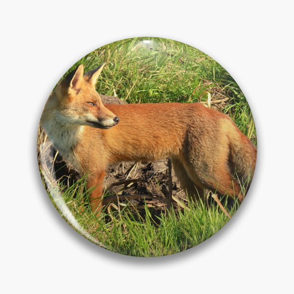 Artikelvorschau, Waldfuchs entworfen und verkauft von TheAnimalZ00.