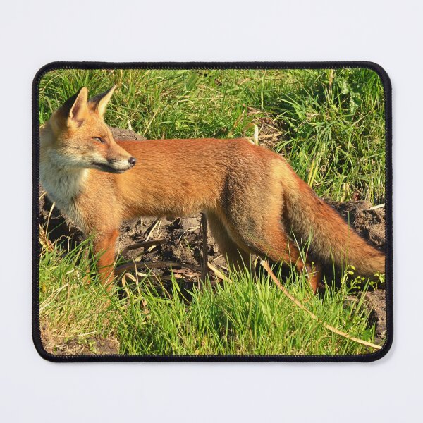 Artikelvorschau, Waldfuchs entworfen und verkauft von TheAnimalZ00.