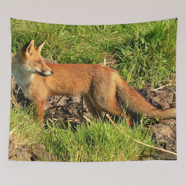 Artikelvorschau, Waldfuchs entworfen und verkauft von TheAnimalZ00.