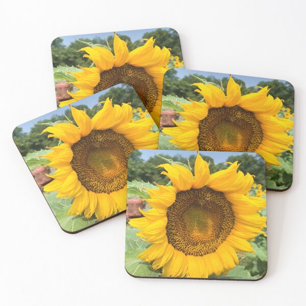 Item preview, Sunflower  designed and sold by Craig Kauzmann.