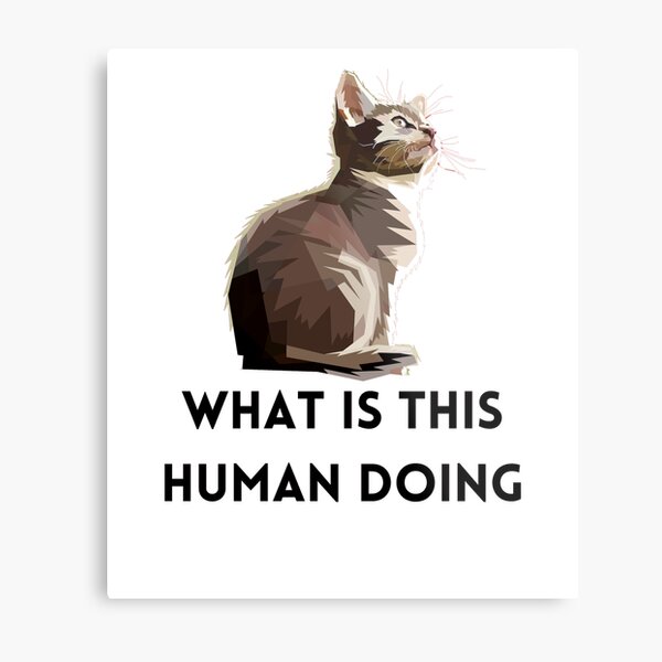 Cat Shitpost meme Art Board Print for Sale by Season's Store