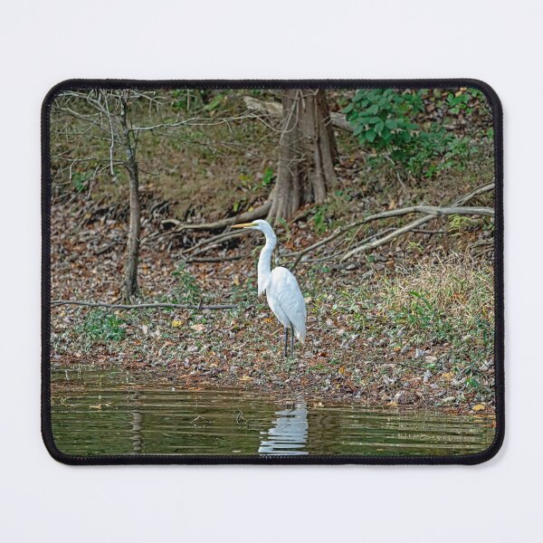 Item preview, Great White Egret Standing Tall Lakeside designed and sold by ShorelineImages.