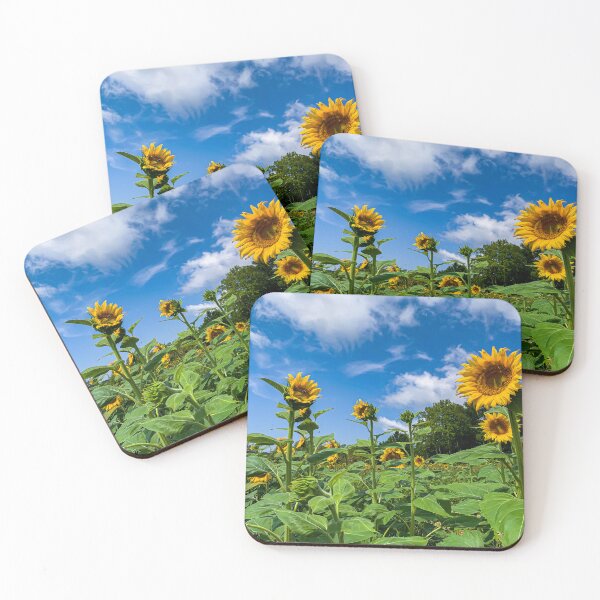 Item preview, Sunflowers in the Field designed and sold by Craig Kauzmann.
