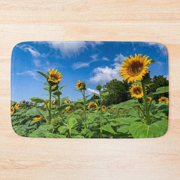 Item preview, Sunflowers in the Field designed and sold by Craig Kauzmann.