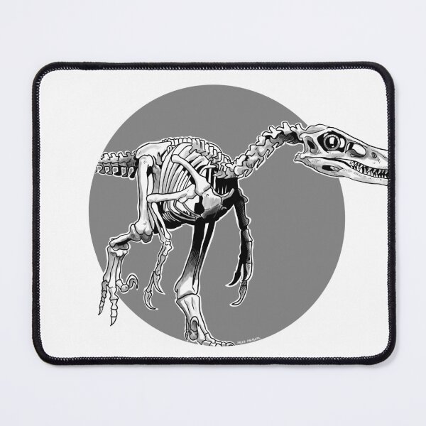 Item preview, Velociraptor skeletal grey designed and sold by Paleo-parallax.
