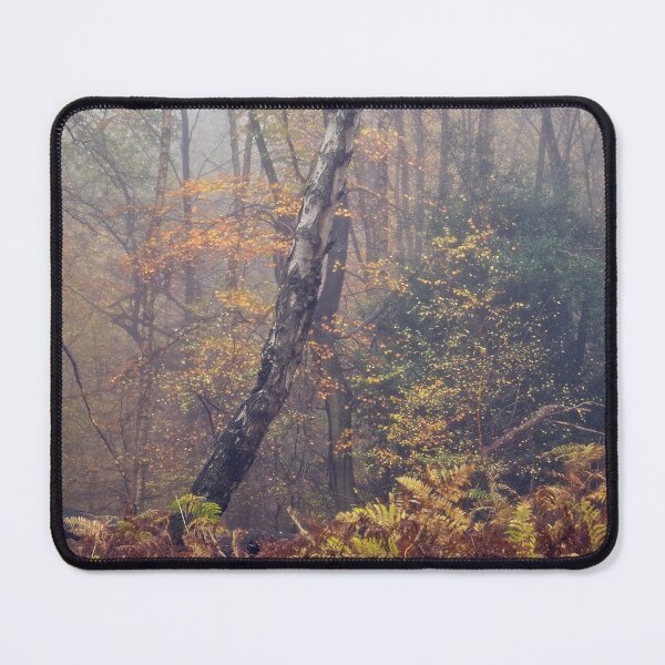 Item preview, Autumn Woodland Scene  designed and sold by AnitaLynne.