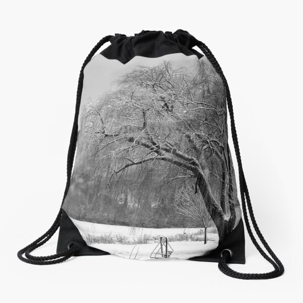 Willow Winter Drawstring Bag