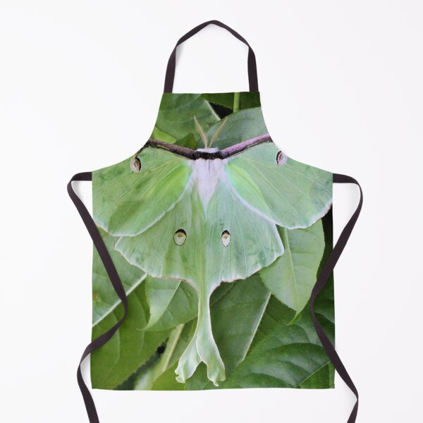 Item preview, Luna Moth designed and sold by Pisgah Astronomical Research Institute.
