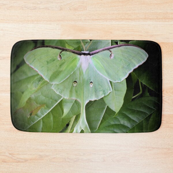 Item preview, Luna Moth designed and sold by Pisgah Astronomical Research Institute.