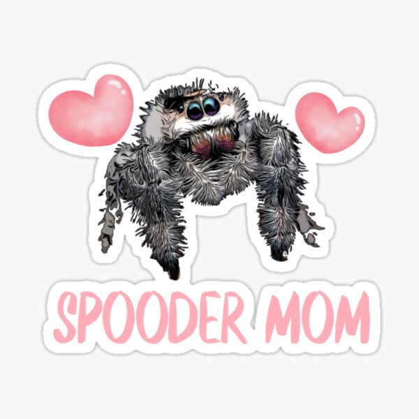 Smol Spooder Boi?