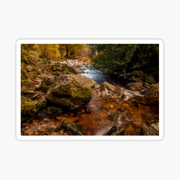 Wicklow Stream Sticker
