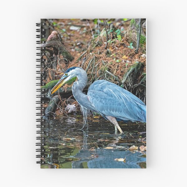 Item preview, Great Blue Heron Catches a Small Fish designed and sold by ShorelineImages.