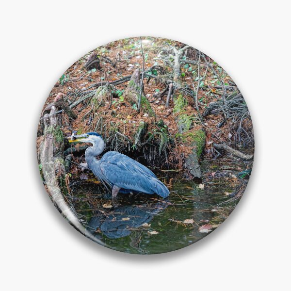 Item preview, Great Blue Heron Fishing Big Bethel Reservoir designed and sold by ShorelineImages.
