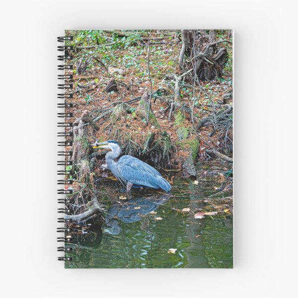 Item preview, Great Blue Heron Fishing Big Bethel Reservoir designed and sold by ShorelineImages.