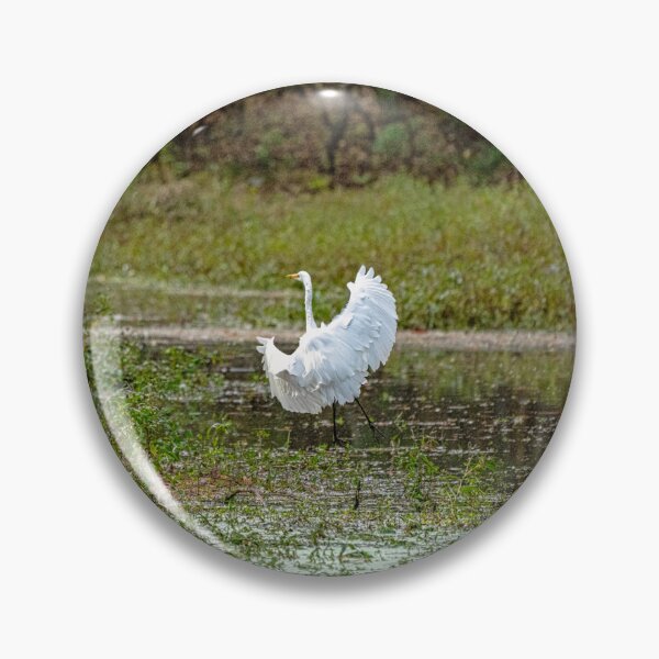 Item preview, Great Egret Ruffles It's Feathers designed and sold by ShorelineImages.