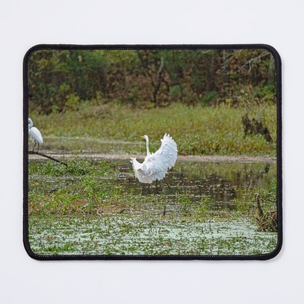 Item preview, Great Egret Ruffles It's Feathers designed and sold by ShorelineImages.