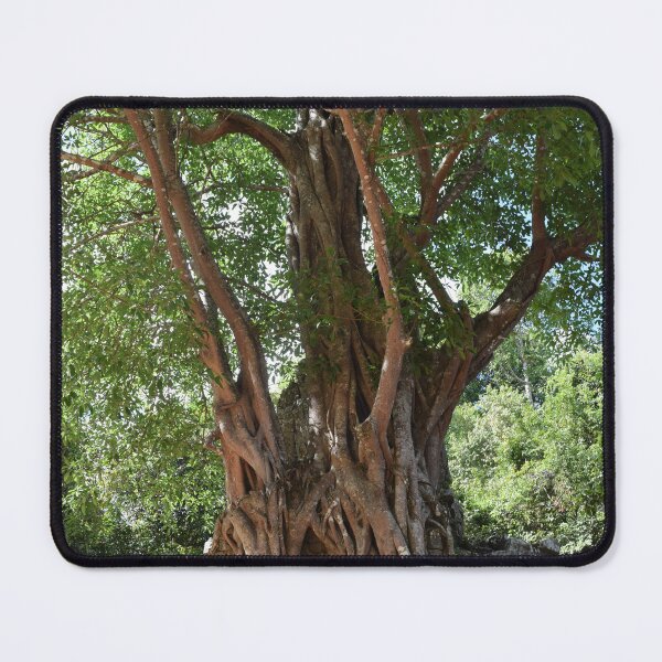 Item preview, Tree of life designed and sold by Linnys-Designs.