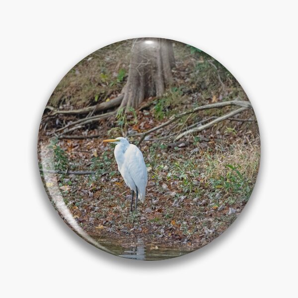 Item preview, Great Egret Hunched by Lakeside designed and sold by ShorelineImages.