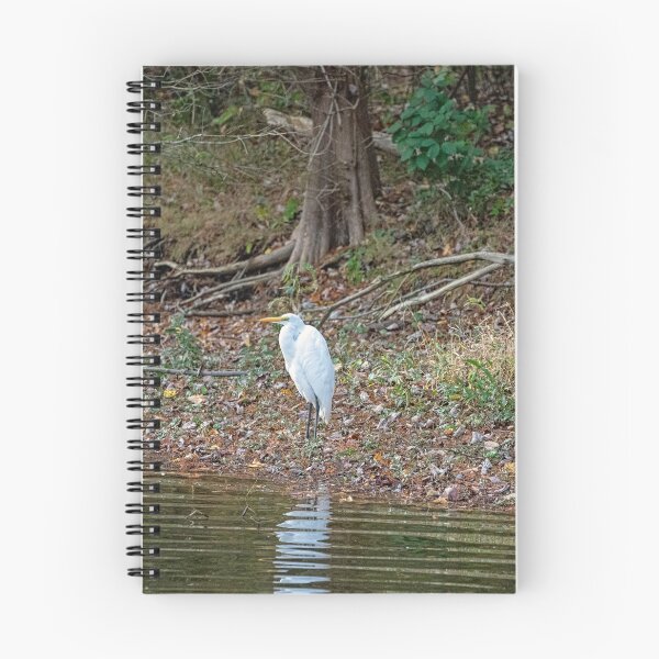 Item preview, Great Egret Hunched by Lakeside designed and sold by ShorelineImages.