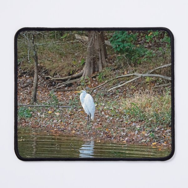 Item preview, Great Egret Hunched by Lakeside designed and sold by ShorelineImages.