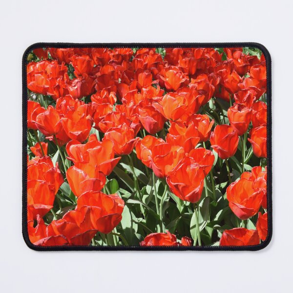 Item preview, Red tulips designed and sold by Linnys-Designs.