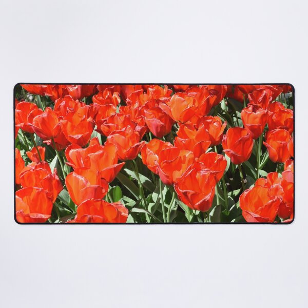 Item preview, Red tulips designed and sold by Linnys-Designs.