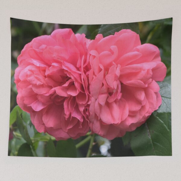 Item preview, Two pink peonies designed and sold by Linnys-Designs.