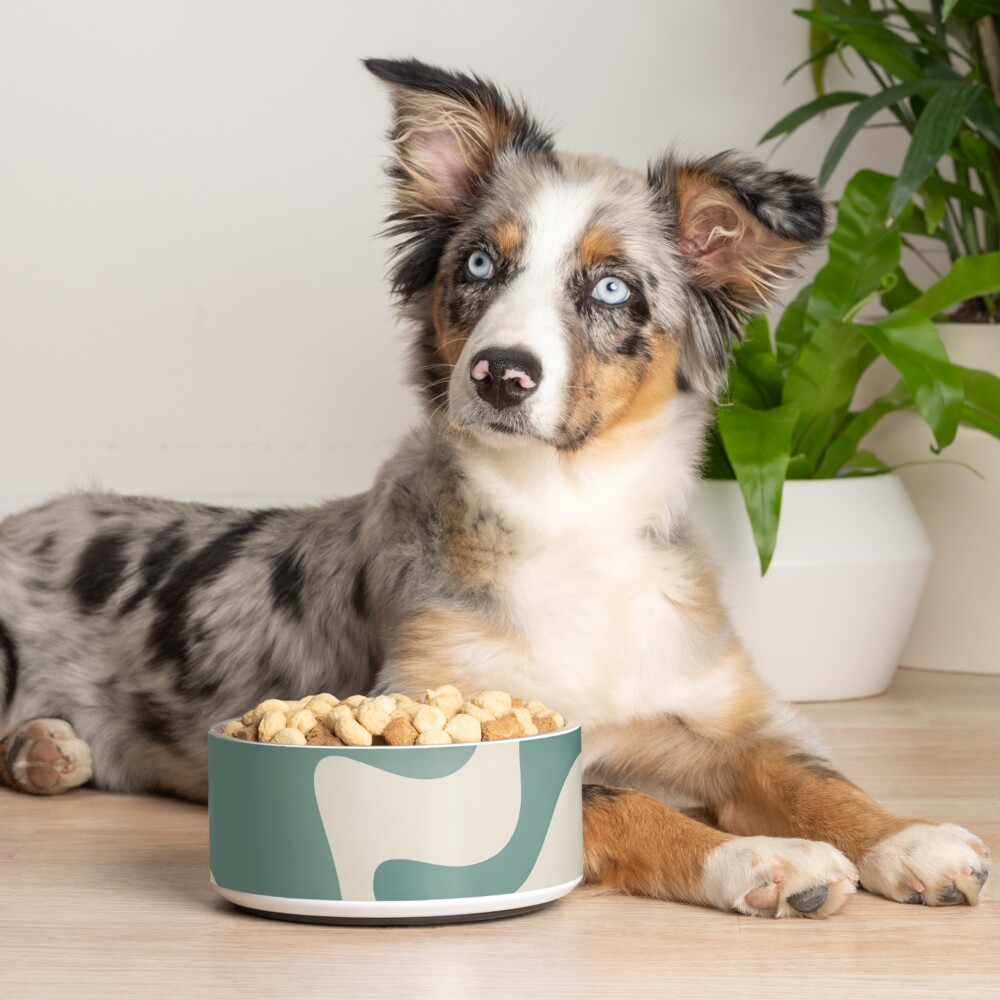 Item preview, Pet Bowl designed and sold by kierkegaard.