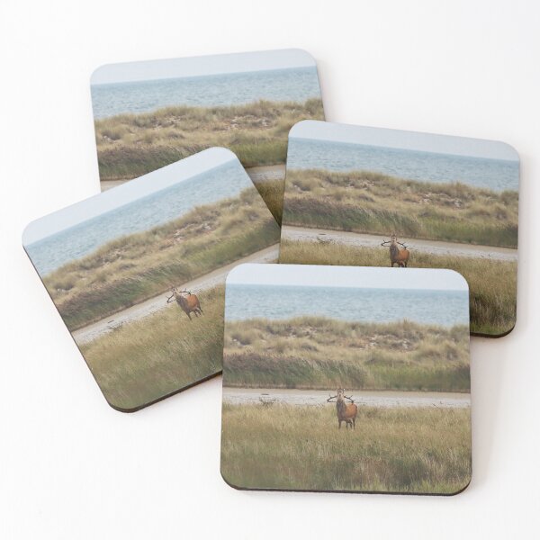Item preview, Roaring deer in a reed meadow in front of the Baltic Sea during breeding season designed and sold by JB-photo.