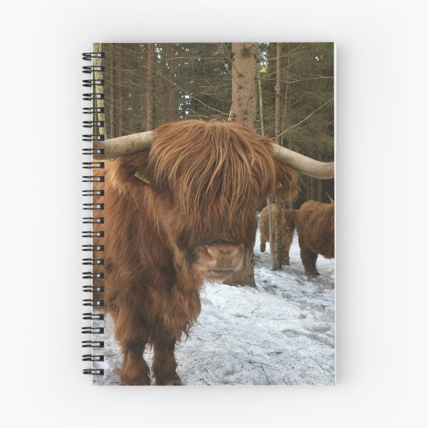 Item preview, Scottish Highland Cattle Cows 1346 designed and sold by SaarelaHighland.