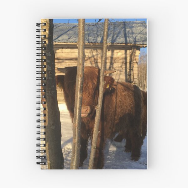 Item preview, Scottish Highland Cattle Calf 1347 designed and sold by SaarelaHighland.