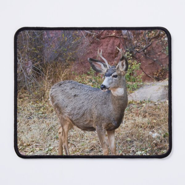 Item preview, Young Buck designed and sold by alanathrower.