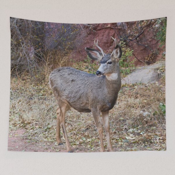 Item preview, Young Buck designed and sold by alanathrower.